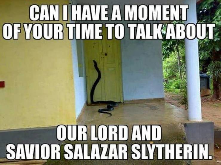 Harry Potter 10 Slytherin Memes That Prove Its The Sneakiest House Harry Potter 10 Slytherin Memes That Prove Its The Sneakiest House